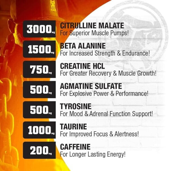 MAMMOTH PUMP PREWORKOUT 30 SERVINGS Whey Protein Supplements, & Gym